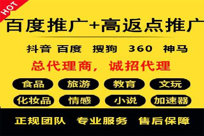 百度竞价代运营成功案例解析